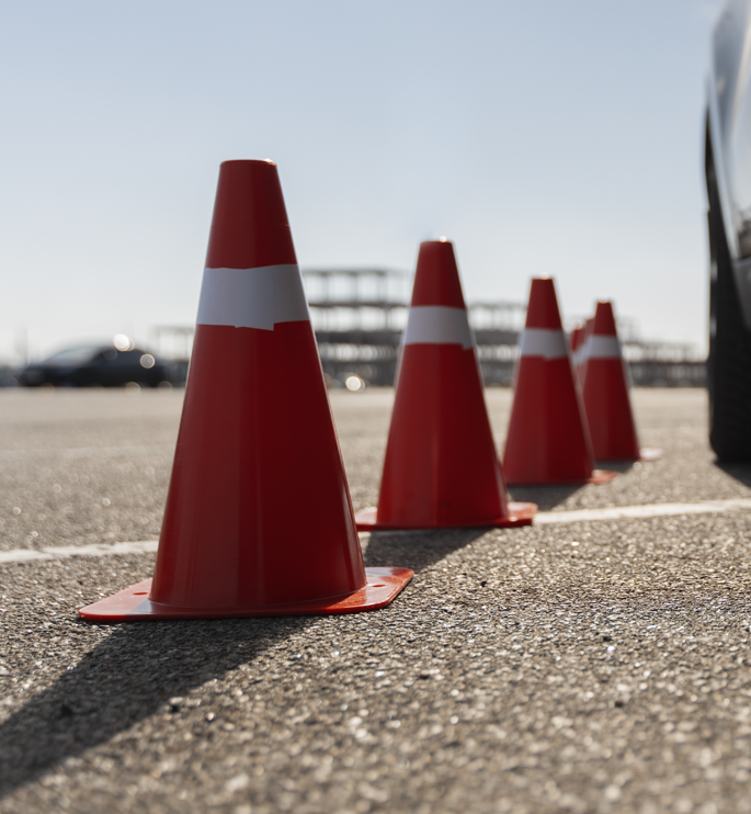 colleagues working cozy office medium shot